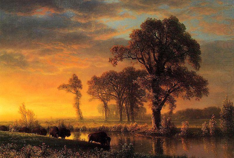 Albert Bierstadt Western Kansas china oil painting image